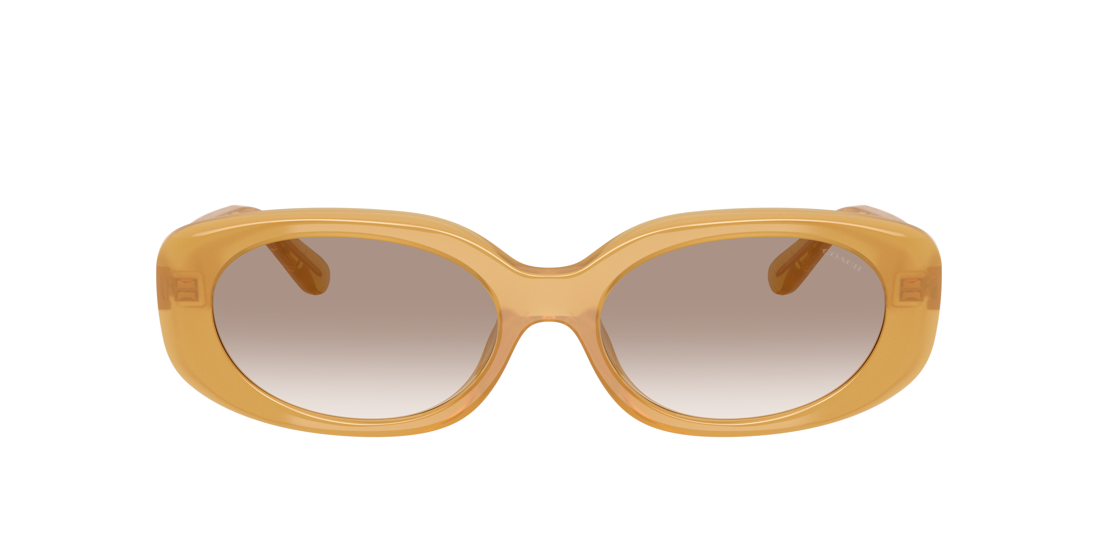 Coach Woman Sunglass Hc8443d Cby84 In Burgundy