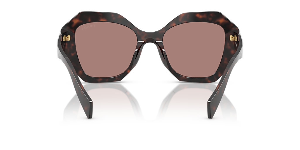 Prada PR 16WS M (53 - 20) with Brown lenses and Tortoise frame