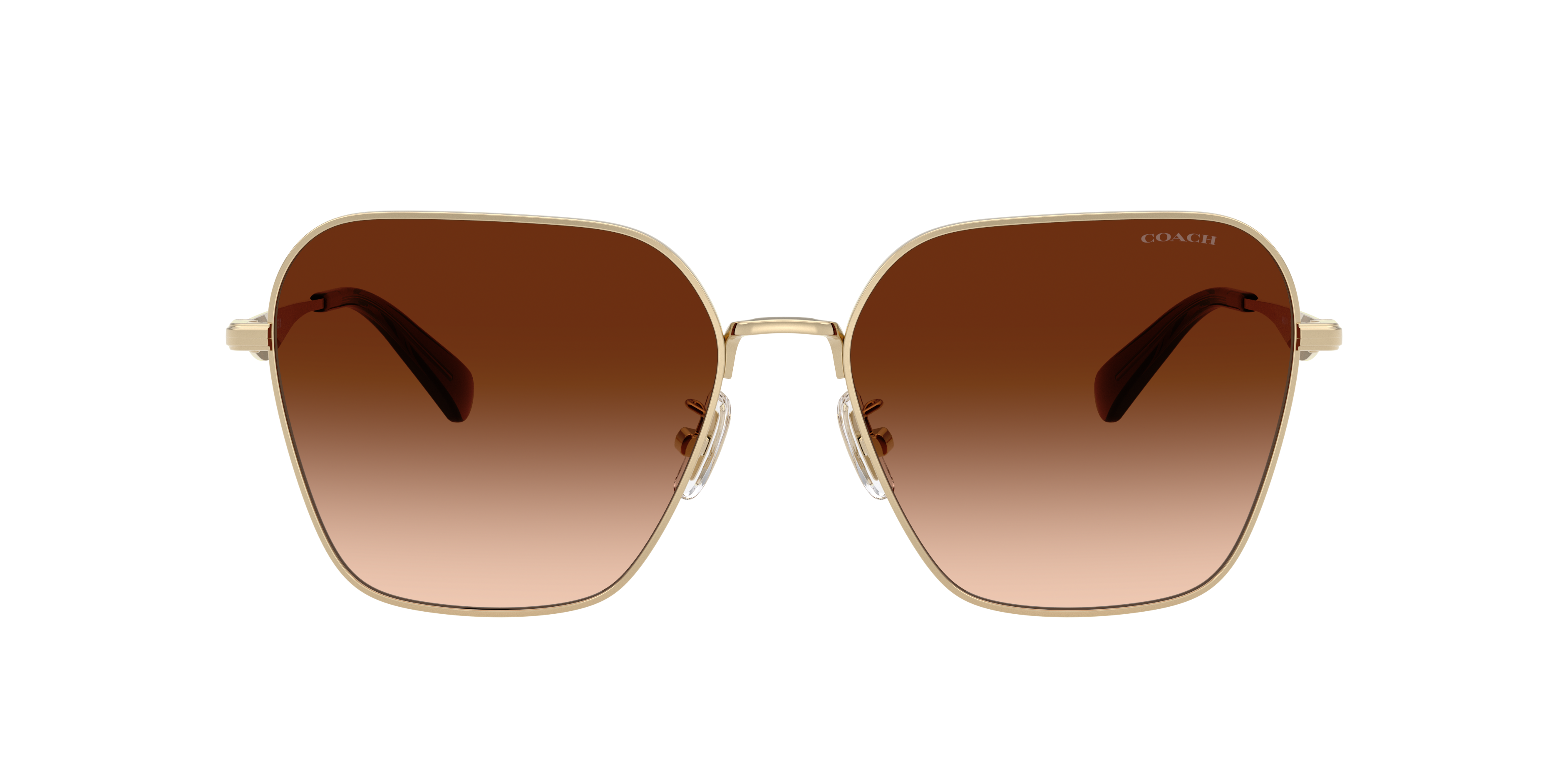 Coach HC7168 CW189 XL (58 - 16) with Brown lenses and Gold frame