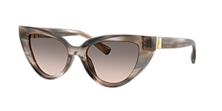 Dolce&Gabbana DG2257 XL (60 - 13) with Grey lenses and Gold