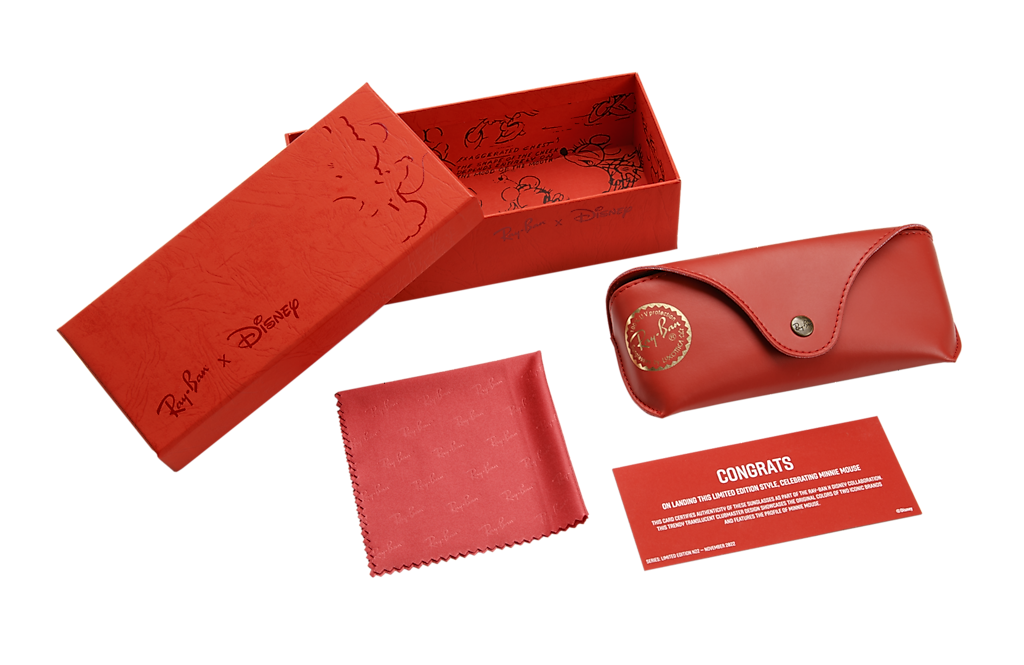 【Erika@Disney好き】スタッドレス2/4 Ray-Ban Women's Polarized Sunglasses, RB4171 Disney