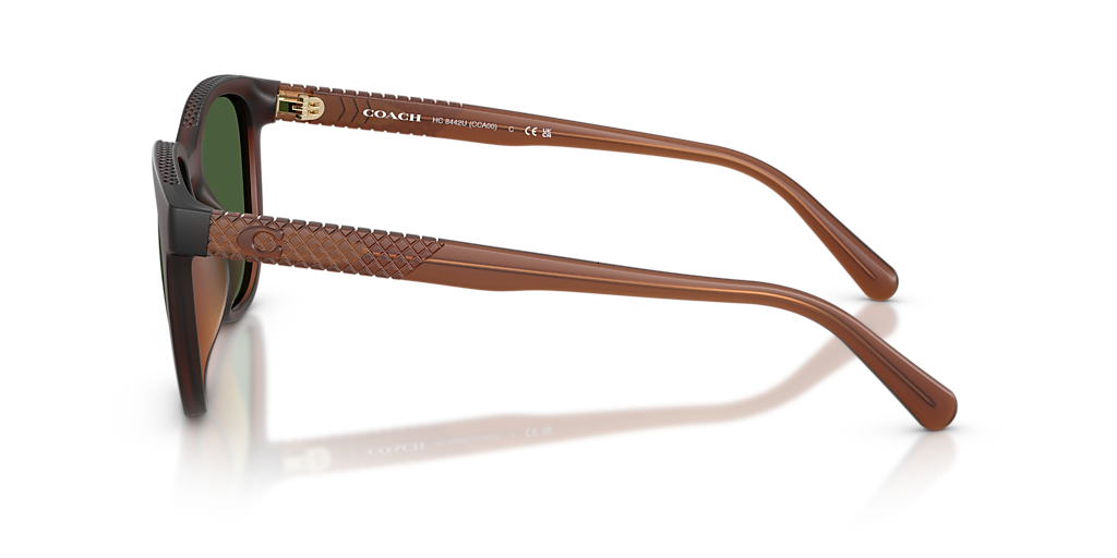 Coach CCA00 L (54 - 19) with Green lenses and Brown frame