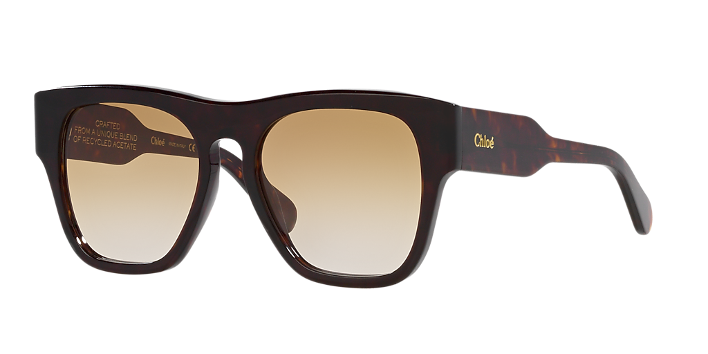 Chloé CH0149S S (54 - 19) with Brown lenses and Tortoise frame