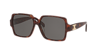 Celine Triomphe CL40316U L (60 - 15) with Grey lenses and Black