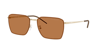 Emporio Armani EA4236U XL (59 - 15) with Brown lenses and  display picture 1