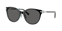 Tiffany & Co. サングラス TF4223-D HardWear Tiffany & Co. TF4223D XL (54 - 20) with Grey lenses and Black