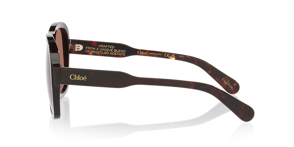 Chloé CH0331S L (58 - 17) with Brown lenses and Tortoise frame