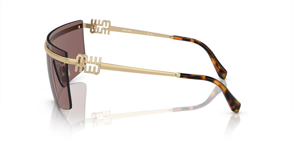 Miu Miu MU 50ZS XXL (0 - 142) with Brown lenses and Gold frame