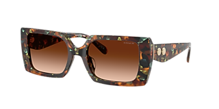 Coach CAD31 L (54 - 22) with Grey lenses and Black frame