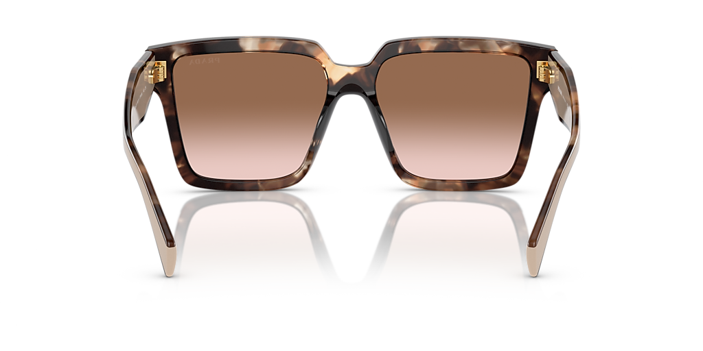 Prada PR 24ZSF L (57 - 14) with Brown lenses and Tortoise frame