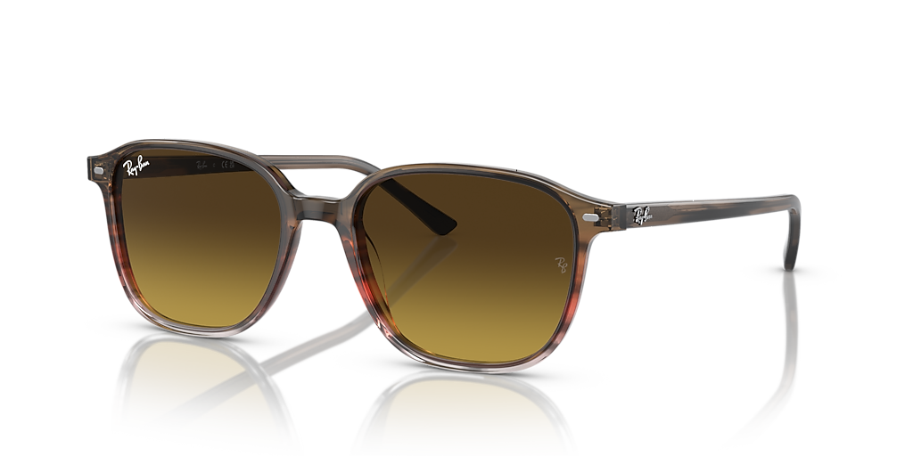 Ray-Ban Leonard M (53 - 18) with Brown lenses and Brown frame