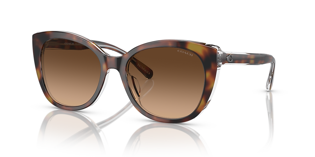 Coach CH566 M (55 - 18) with Brown lenses and Tortoise frame