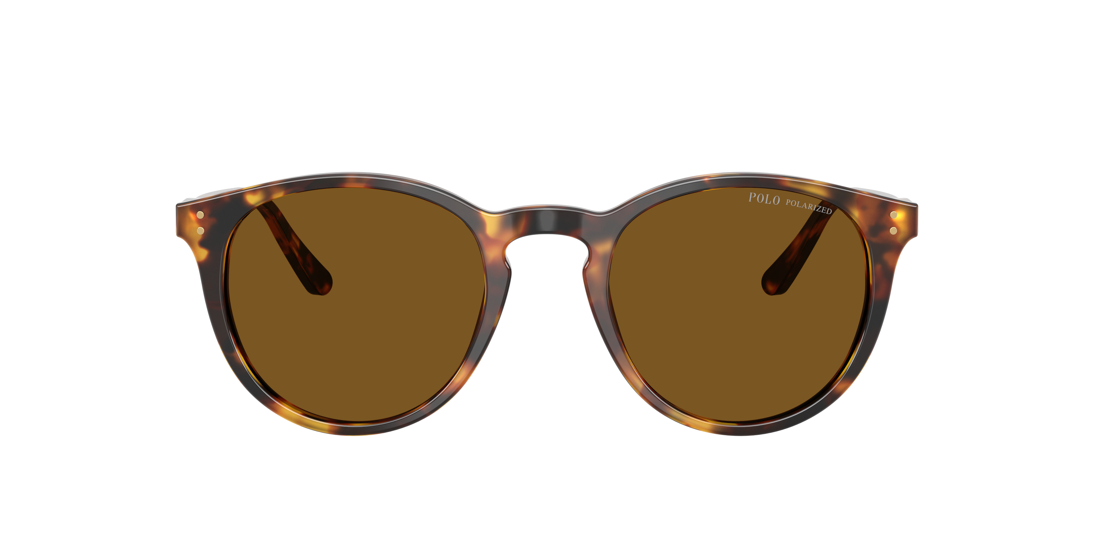 Polo Ralph Lauren PH4110 S (50 - 21) met Bruin Brillenglazen en