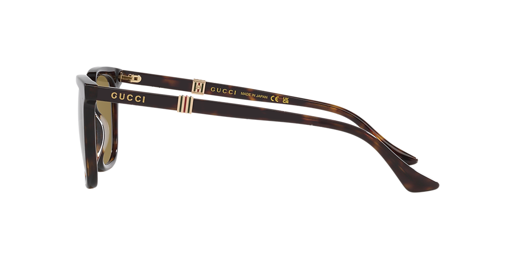 Gucci GG1493S M (54 - 18) with Green lenses and Tortoise frame