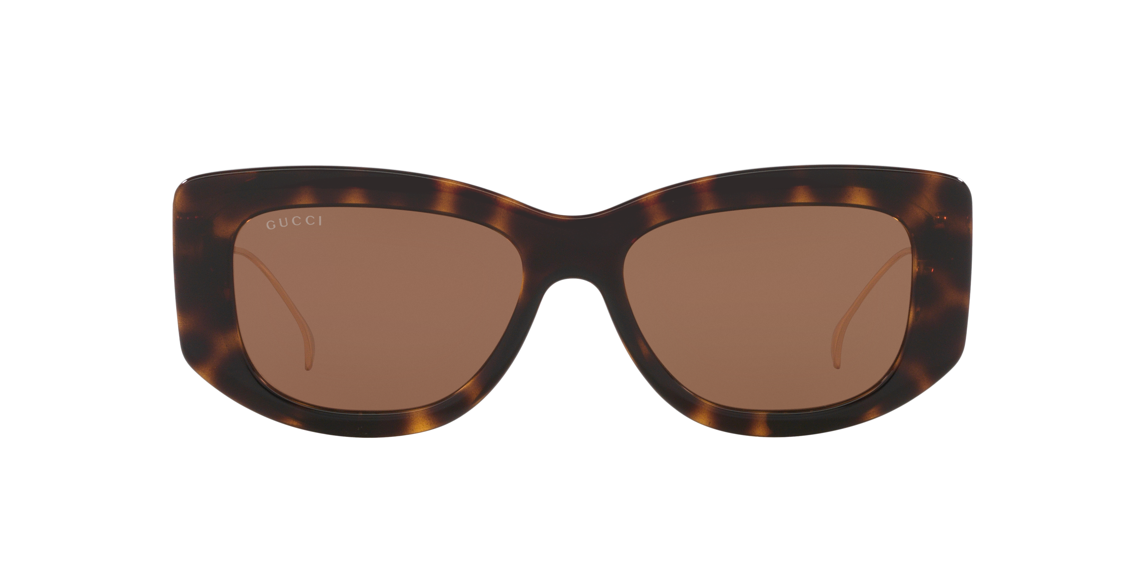 小物 GUCCI Sunglasses Brown Clear Frame Logo Gucci GG1566S M (55 - 17) with Brown lenses and Tortoise frame