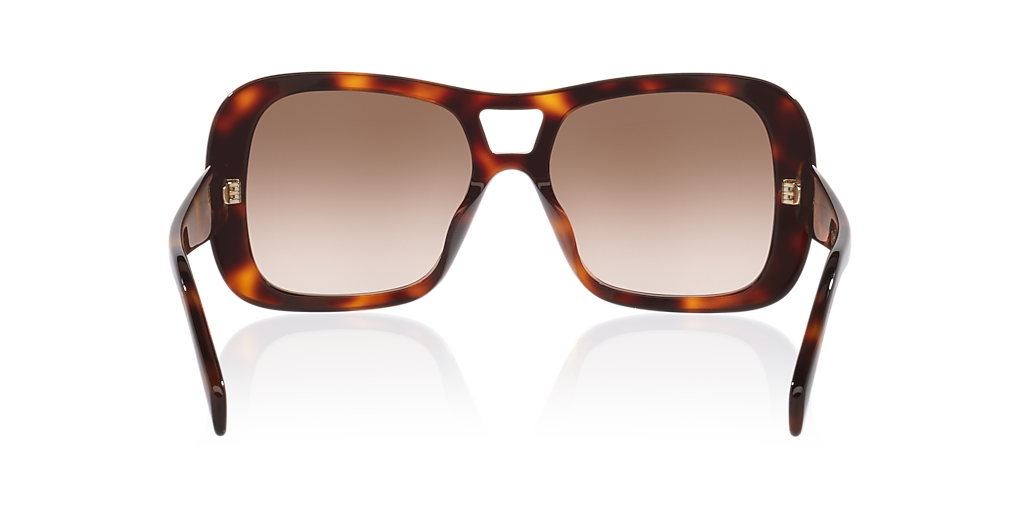 Celine Triomphe CL40331U S (55 - 17) with Brown lenses and