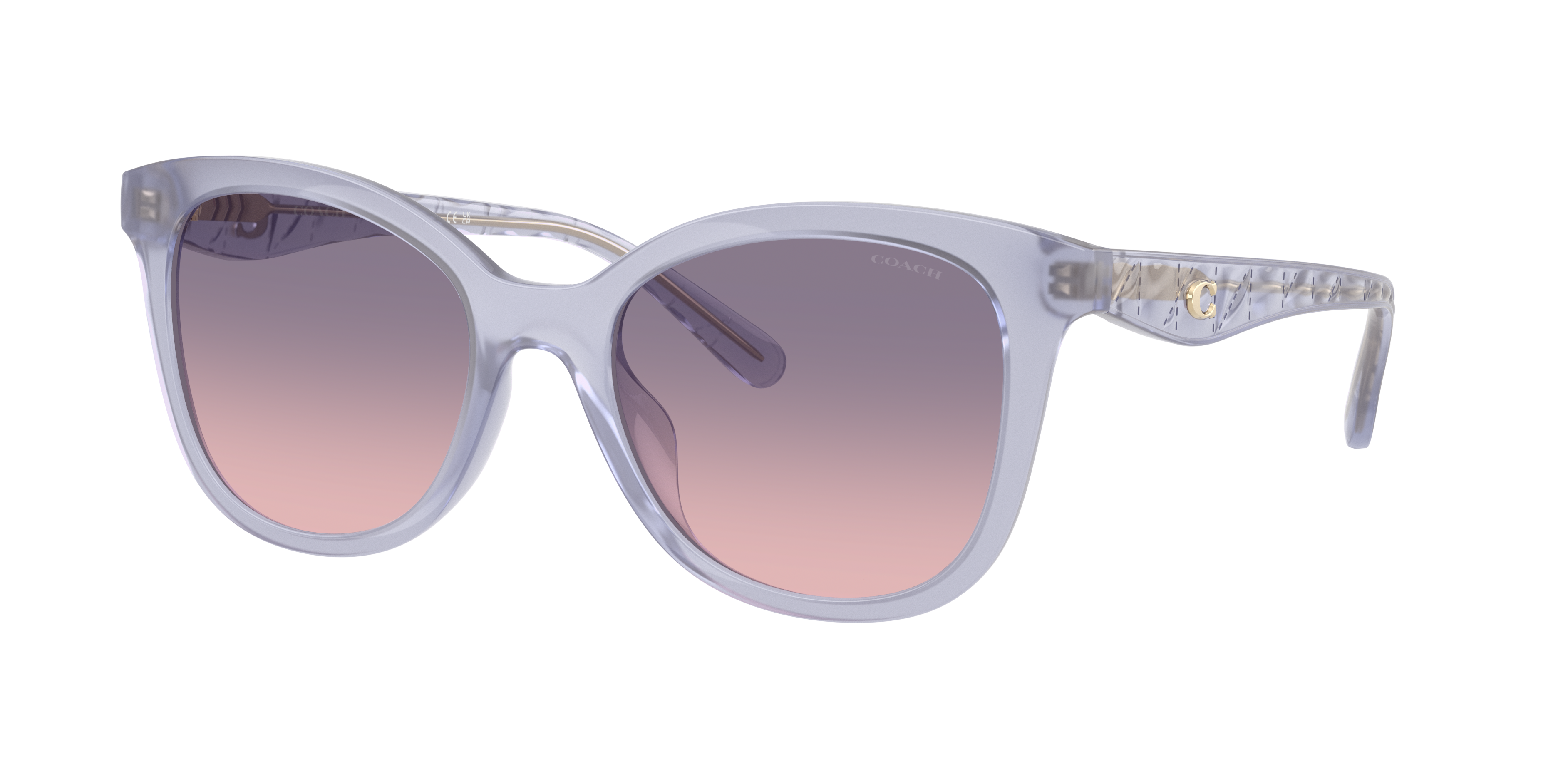 Coach CAD25 XL (55 - 20) with Violet lenses and Violet frame