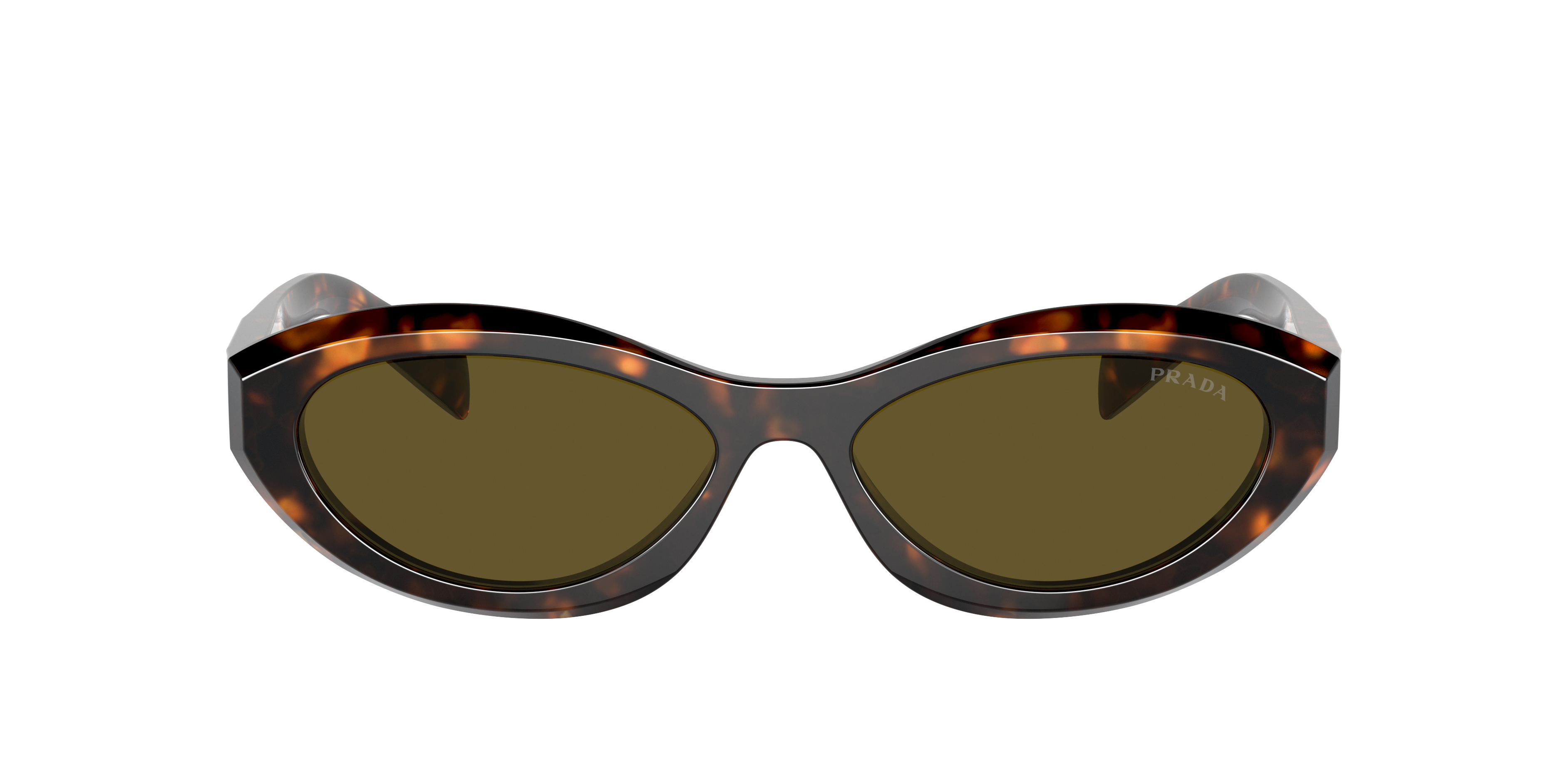 Prada PR 26ZS M (55 - 16) with Brown lenses and Tortoise frame