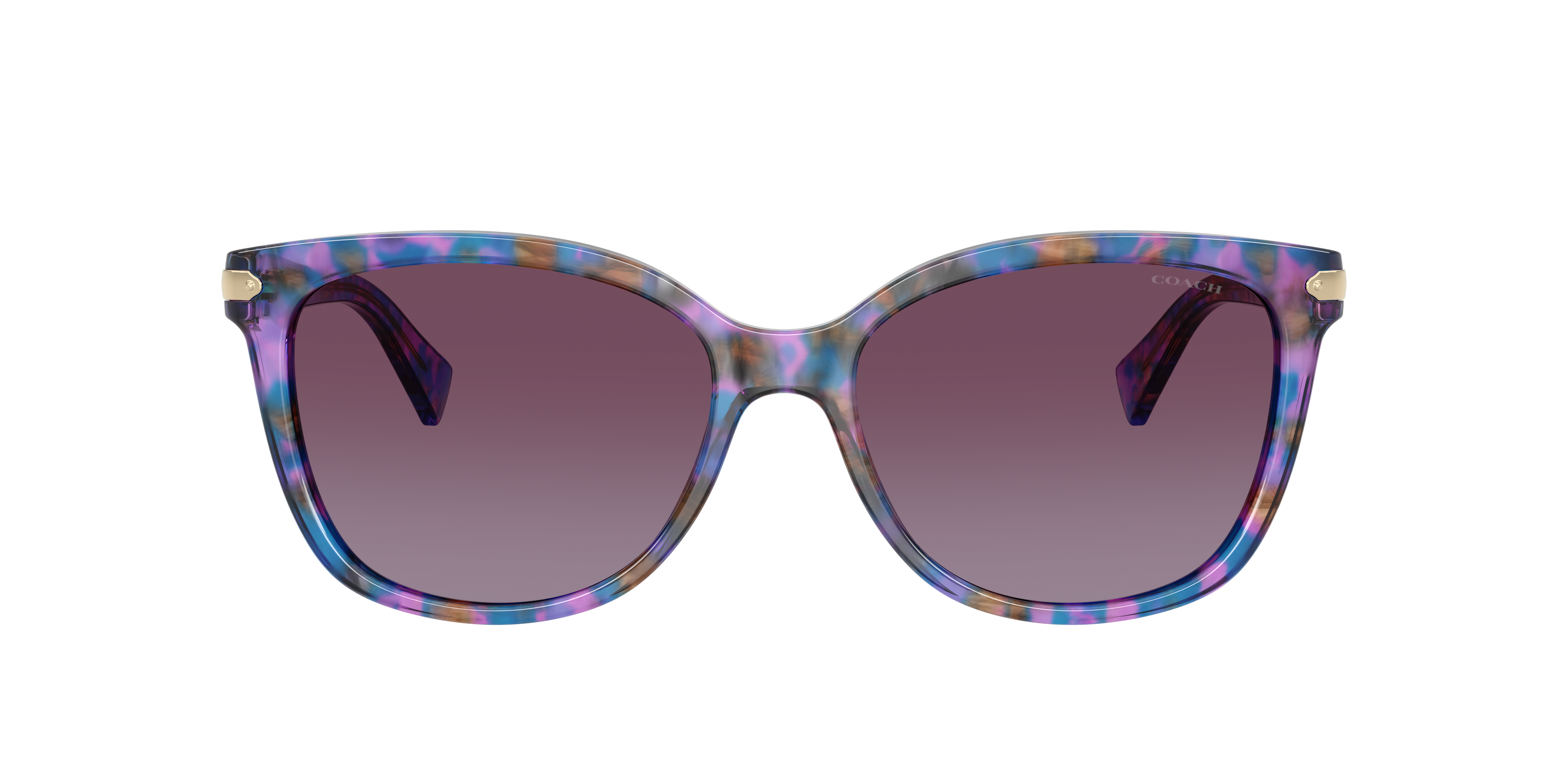 Coach L109 L (57 - 17) with Violet lenses and Tortoise frame