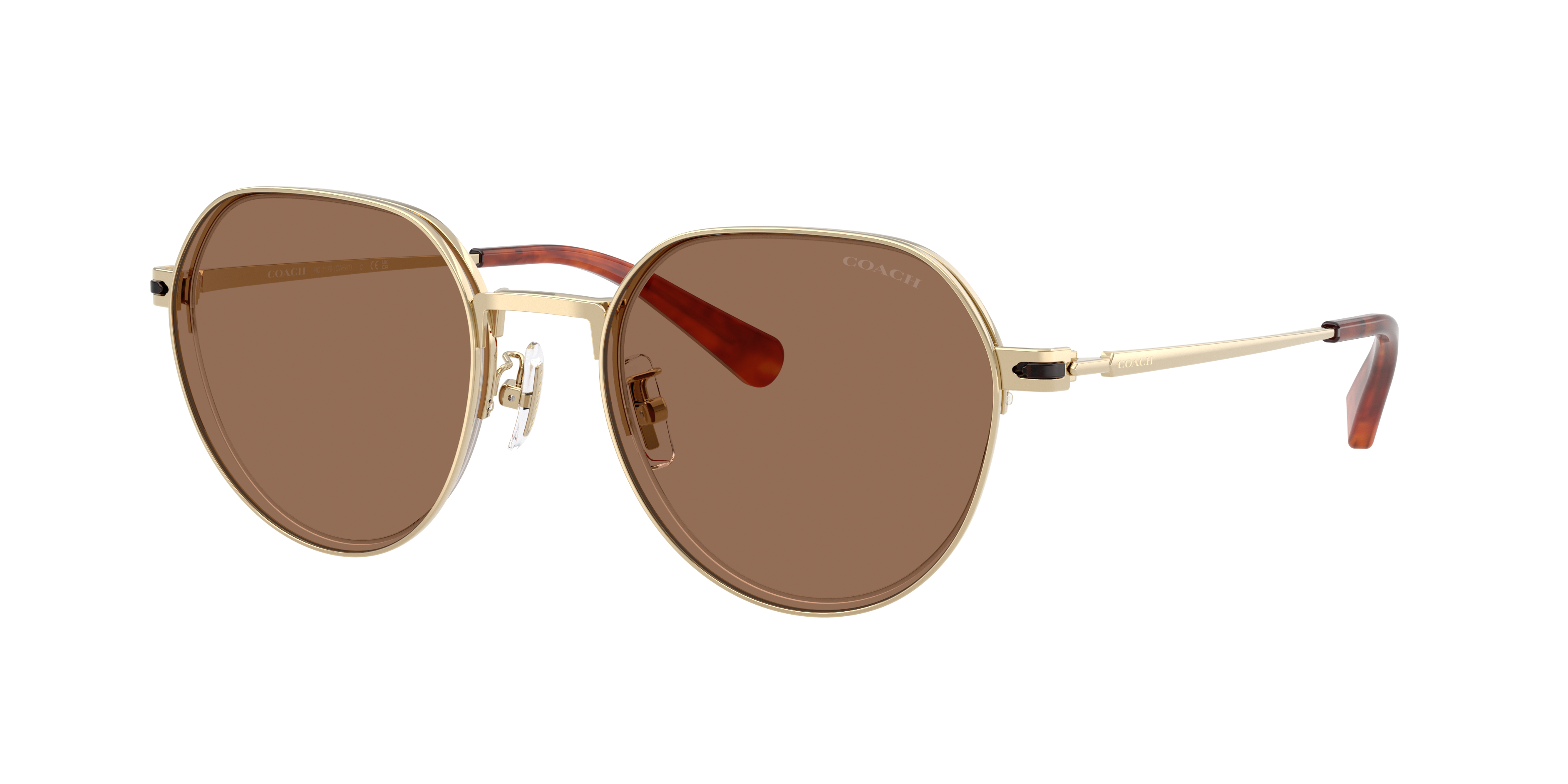 Coach Man Sunglass HC7179 CAE81 -  Frame color: Shiny Light Gold, Lens color: Brown Solid