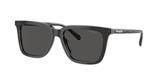 Coach HC8426U CAD81 L (54 - 19) with Violet lenses and Grey frame