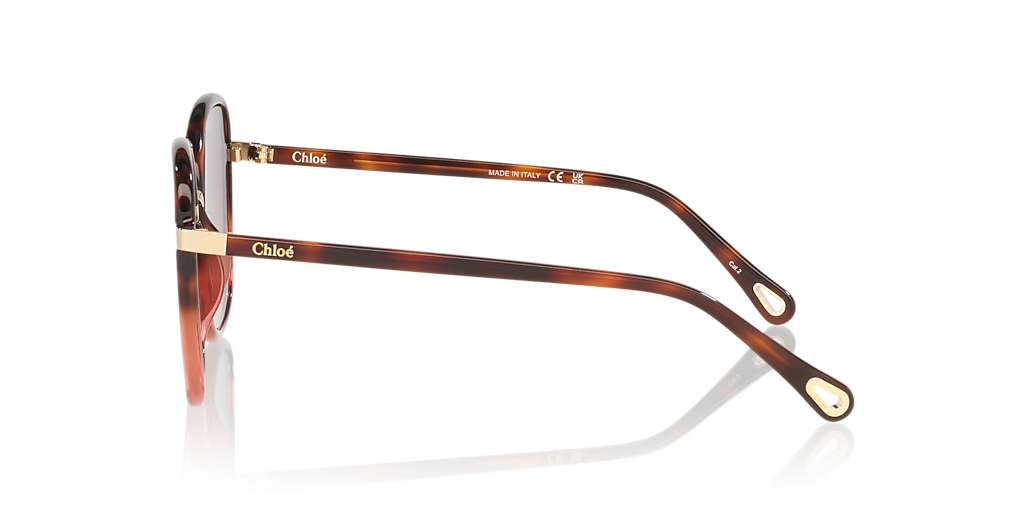 Chloé CH0031S L (56 - 19) with Red lenses and Tortoise frame
