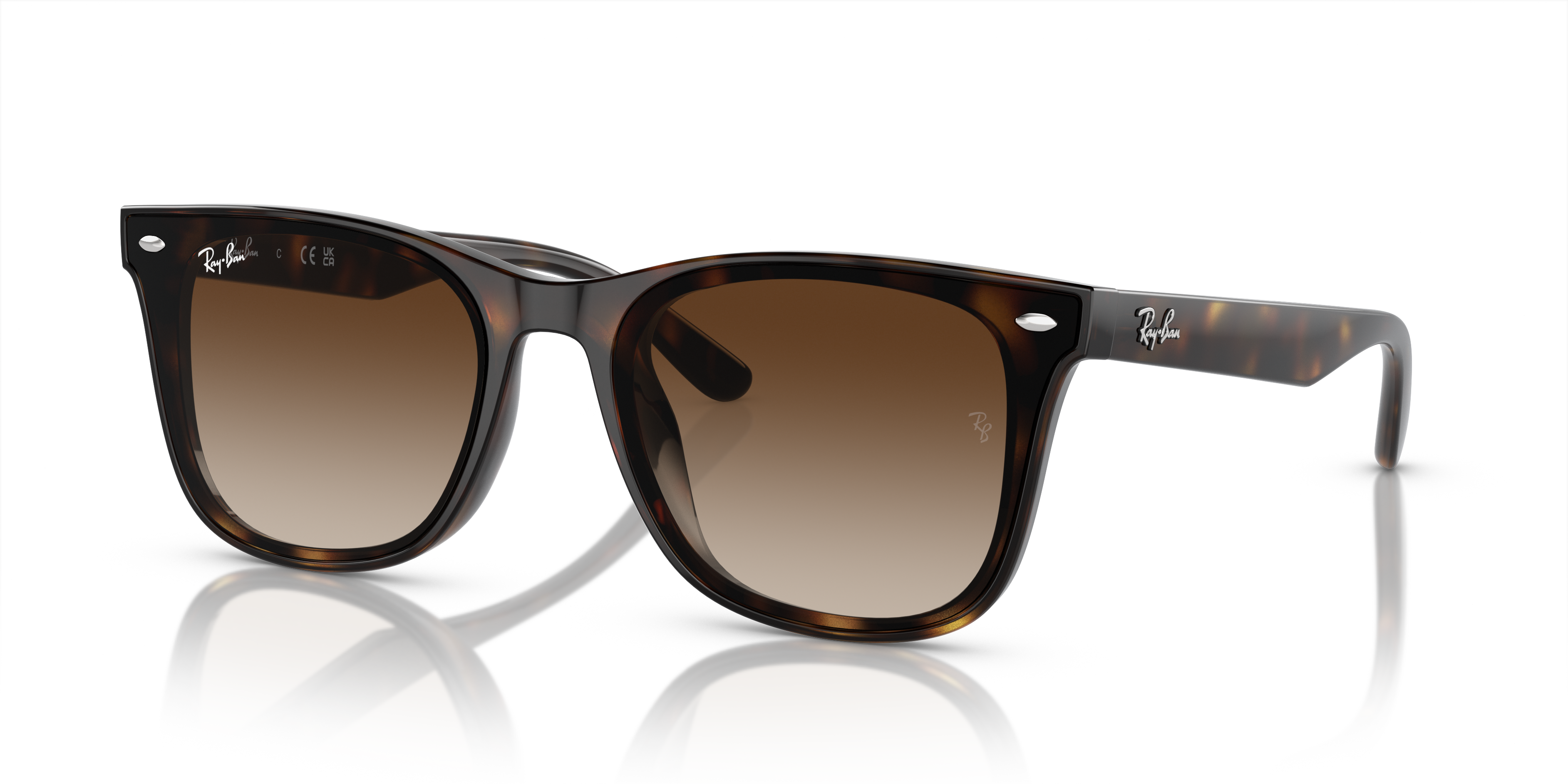 Ray-Ban RB4420 XL (65 - 18) with Brown lenses and Tortoise frame