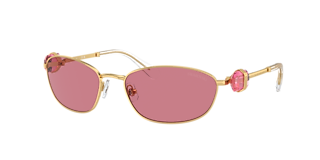 Swarovski SK6016F L (57 - 17) with Brown lenses and Tortoise frame