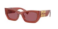 Miu Miu MU 09WS XL (53 - 22) with Brown lenses and Tortoise frame