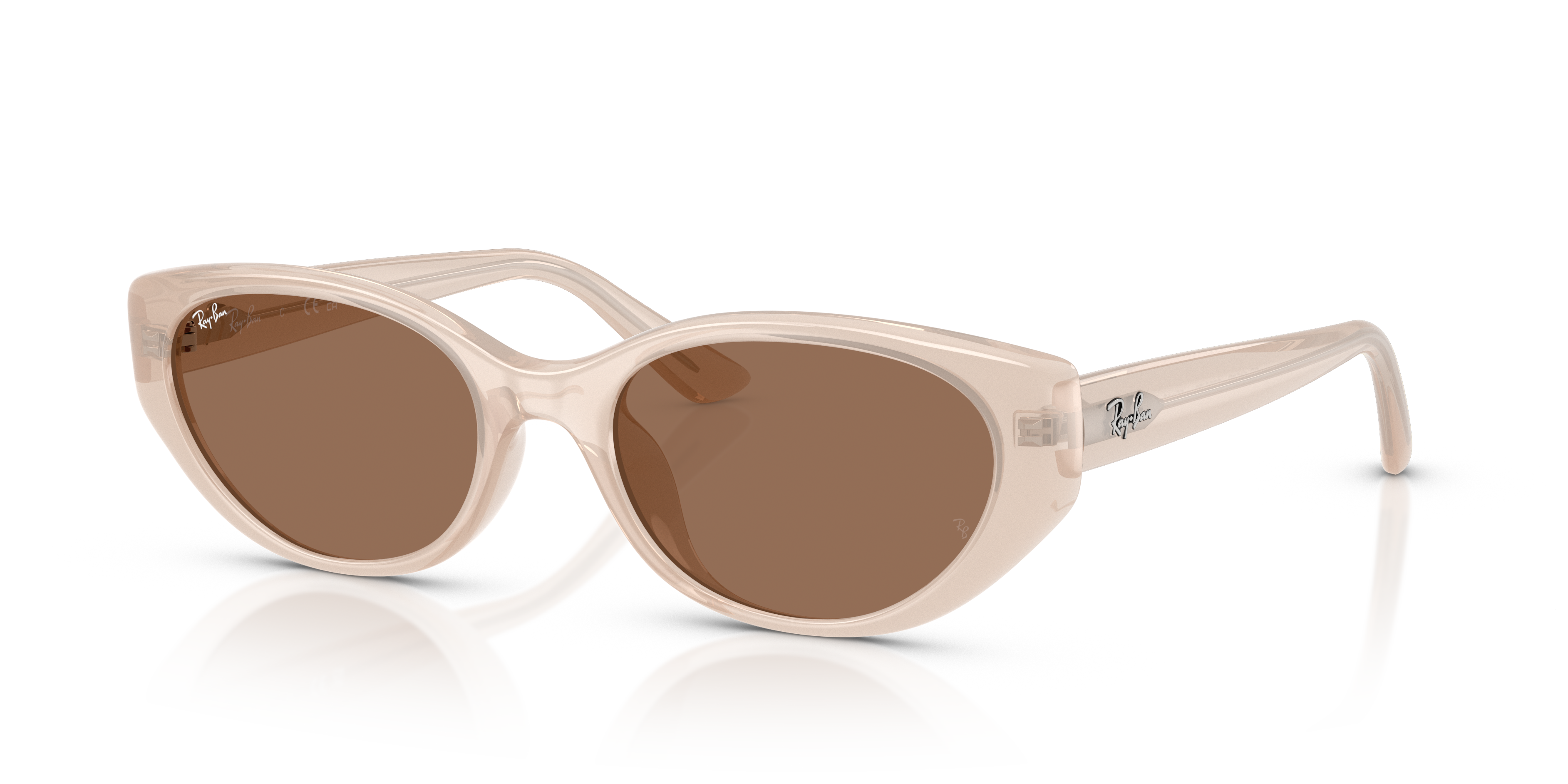 Ray-Ban RB4457D Bio-Based L (55 - 19) with Brown lenses and Brown