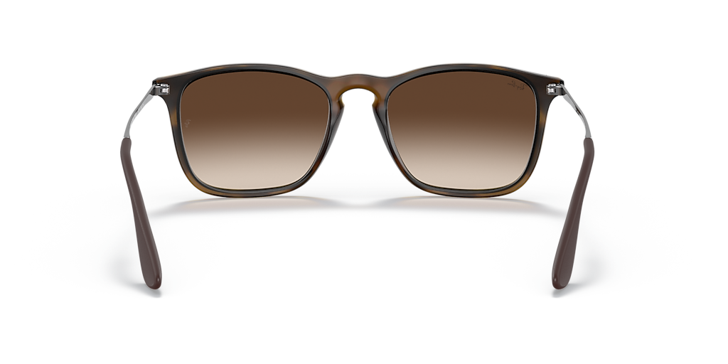 Ray-Ban Chris M (54 - 18) with Brown lenses and Tortoise frame