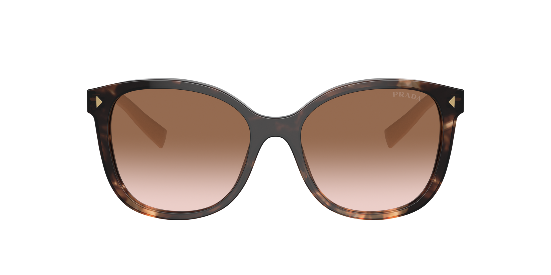 Prada PR 22ZS S (53 - 17) with Brown lenses and Tortoise frame