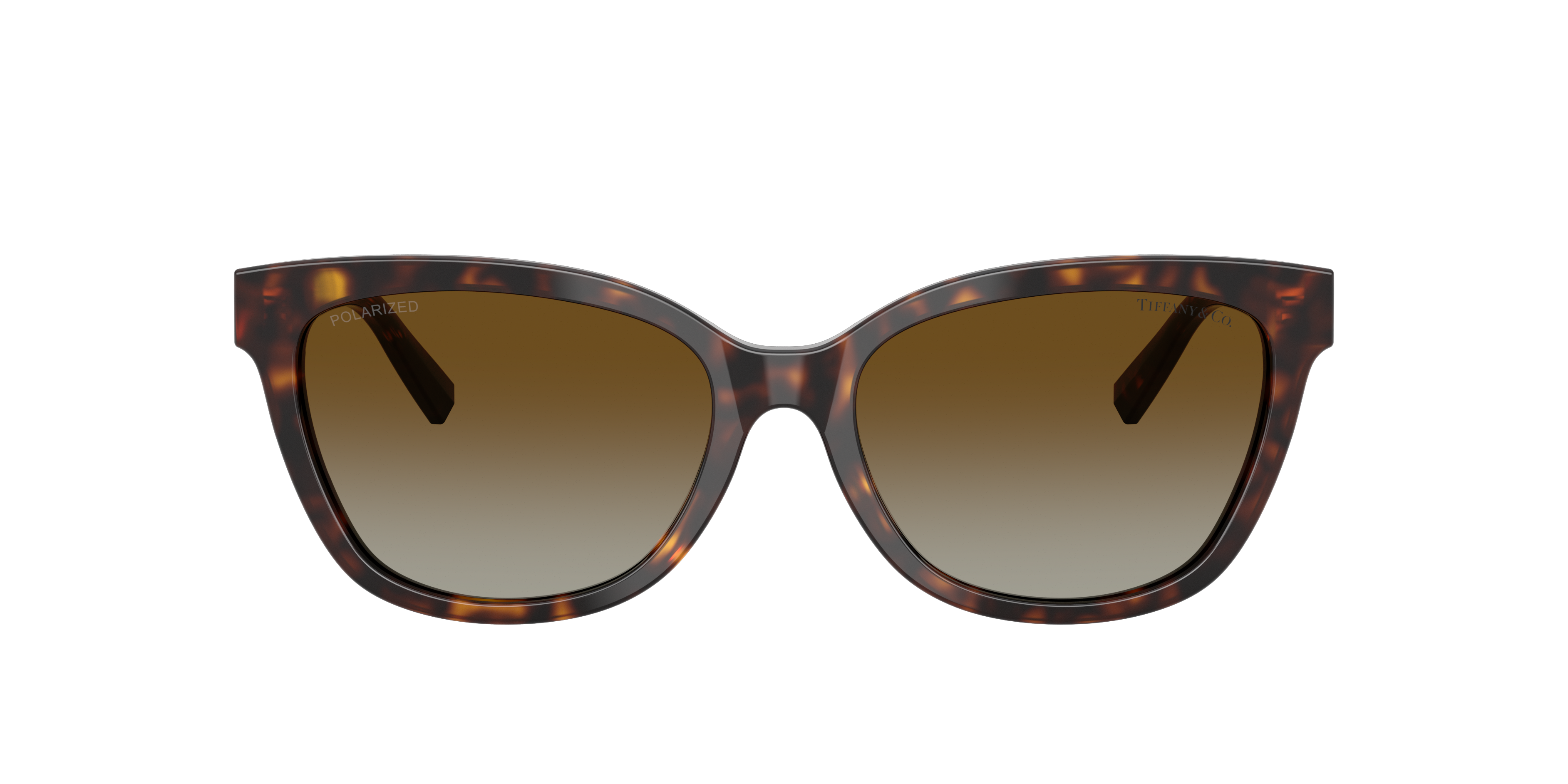 Tiffany & Co. TF4237B M (55 - 17) with Brown lenses and Tortoise