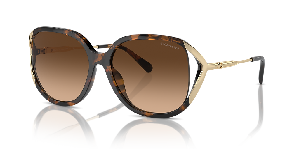 Coach CR620 XL (56 - 16) with Brown lenses and Tortoise frame