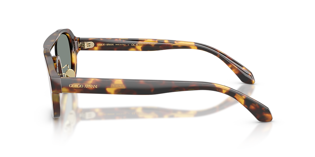 Giorgio Armani AR8247 L (48 - 26) with Grey lenses and Tortoise