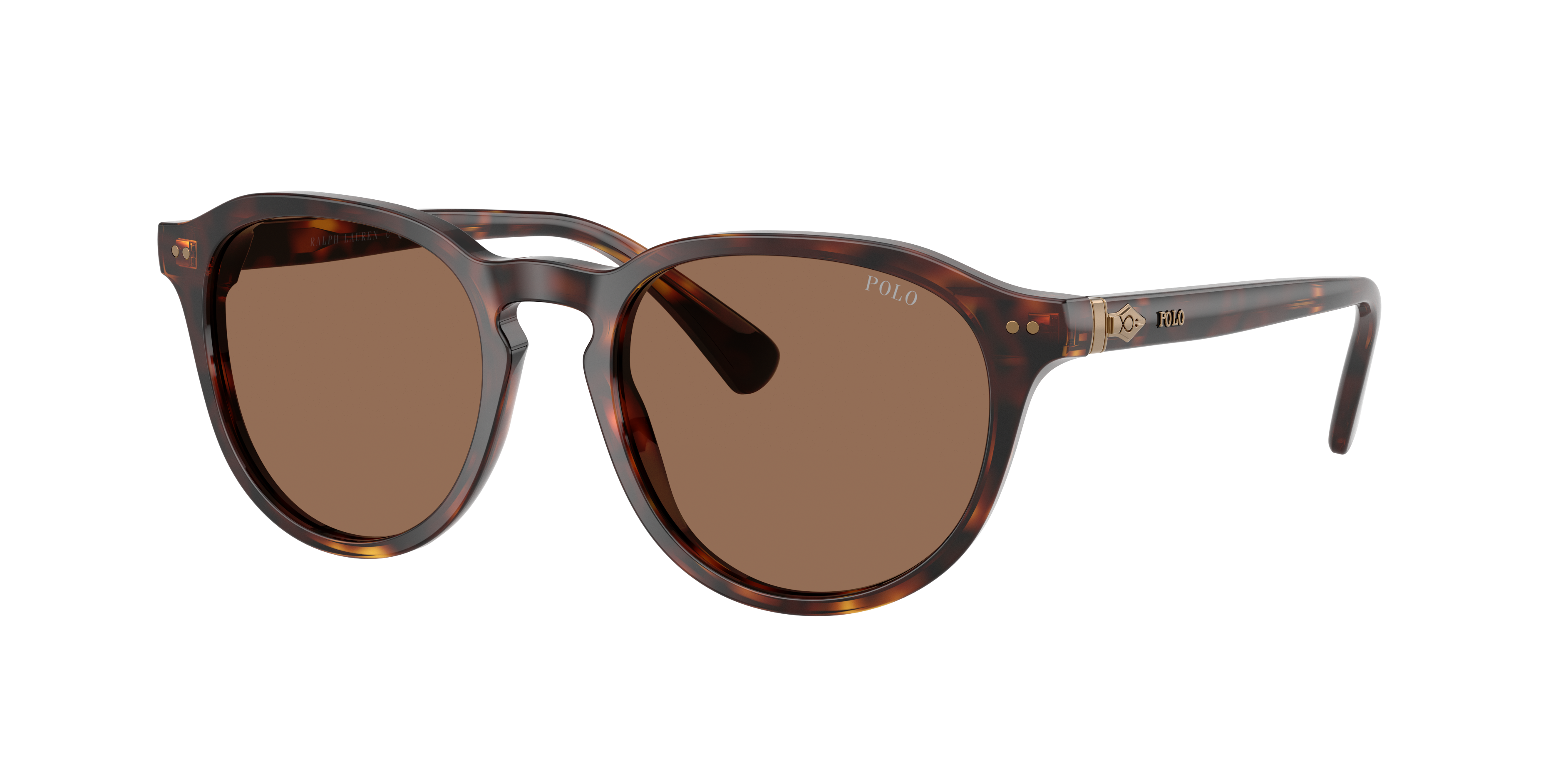 Polo Ralph Lauren Man Sunglass PH4221 -  Frame color: Shiny Brown Tortoise, Lens color: Dark Brown