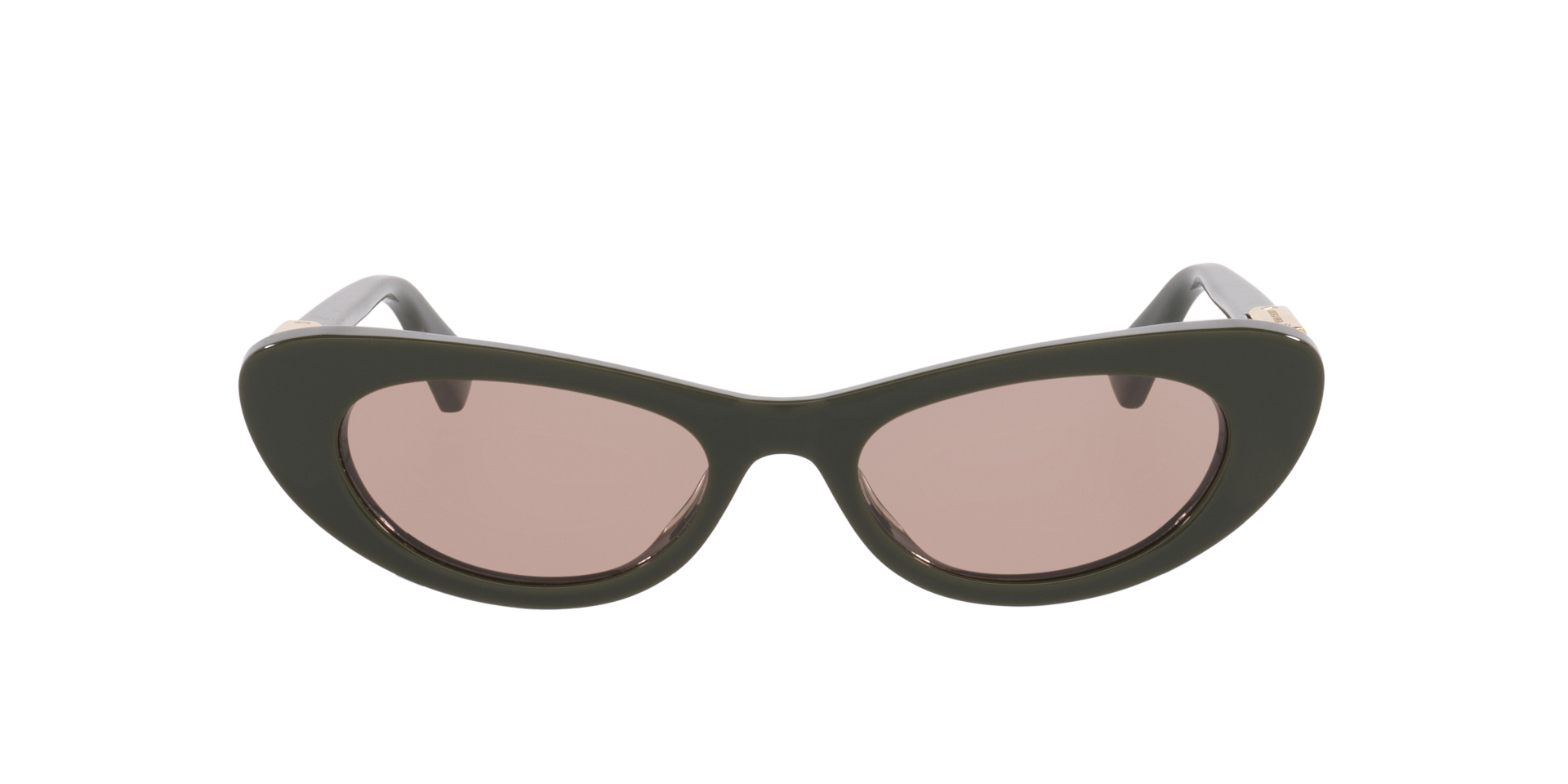 Bottega Veneta Bv1447S