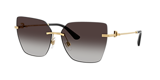 Dolce&Gabbana DG2242 L (57 - 16) with Brown lenses and Gold frame