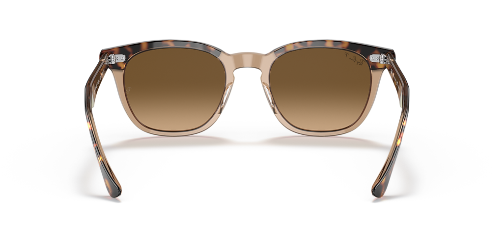 Ray-Ban Hawkeye M (52 - 21) with Brown lenses and Tortoise frame