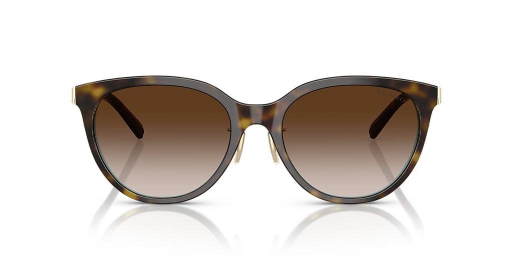 Tiffany & Co. TF4243D XL (55 - 19) with Brown lenses and Brown