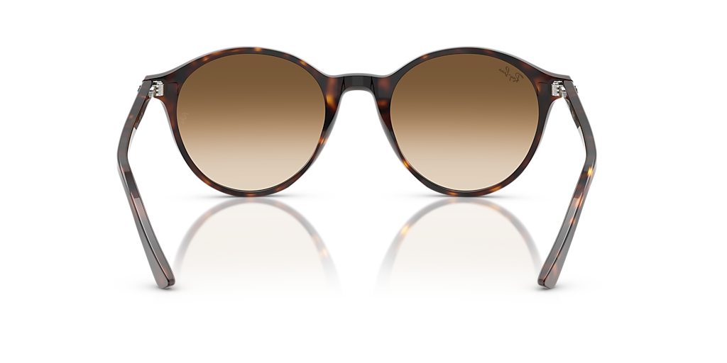 Ray-Ban RB2230 M (51 - 20) with Brown lenses and Tortoise frame