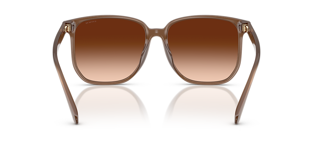 Coach CW419 XL (58 - 16) with Brown lenses and Brown frame