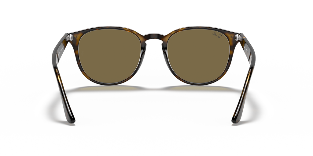 Ray-Ban RB4259 M (51 - 20) with Brown lenses and Tortoise frame