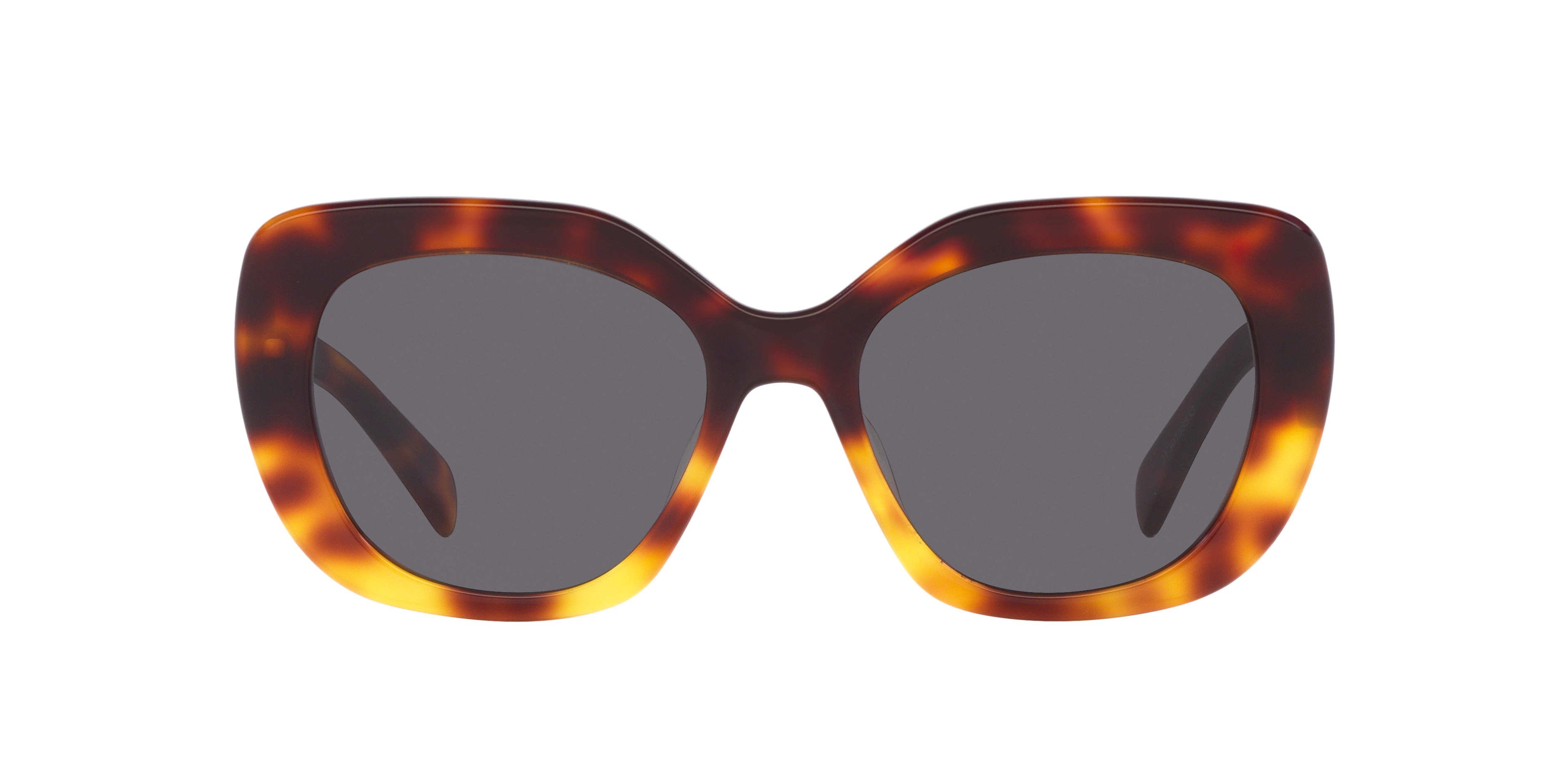 Celine CL40226U L (55 - 19) with Grey lenses and Tortoise frame