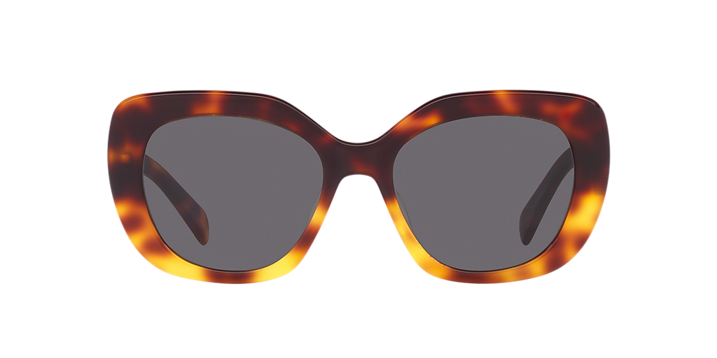 Celine Amber Tortoise Sunglasses CELINE Amber oversized Acetate Sunglasses – Fashionably Yours main image 4