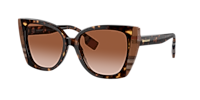 Burberry Meryl M (54 - 17) with Brown lenses and Brown frame