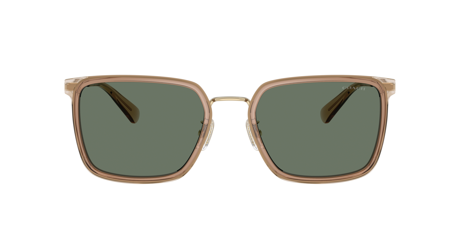 Coach HC7171 CW226 XXL (56 - 21) with Green lenses and Brown frame