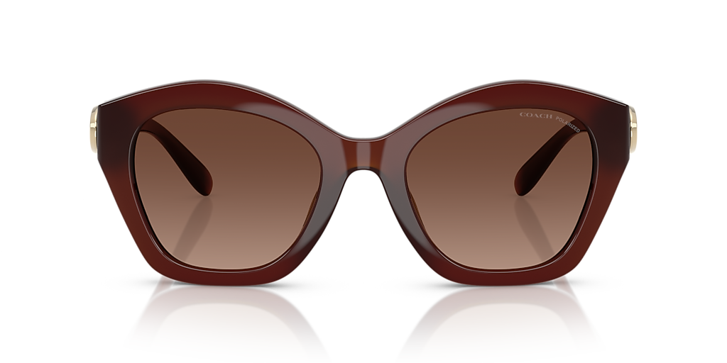Coach CAD31 L (54 - 22) with Brown lenses and Brown frame