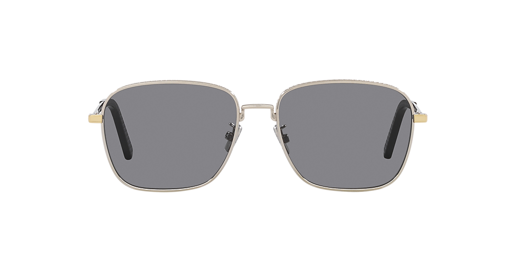 DIOR CD Diamond S4U XL (55 - 16) with Grey lenses and Silver frame
