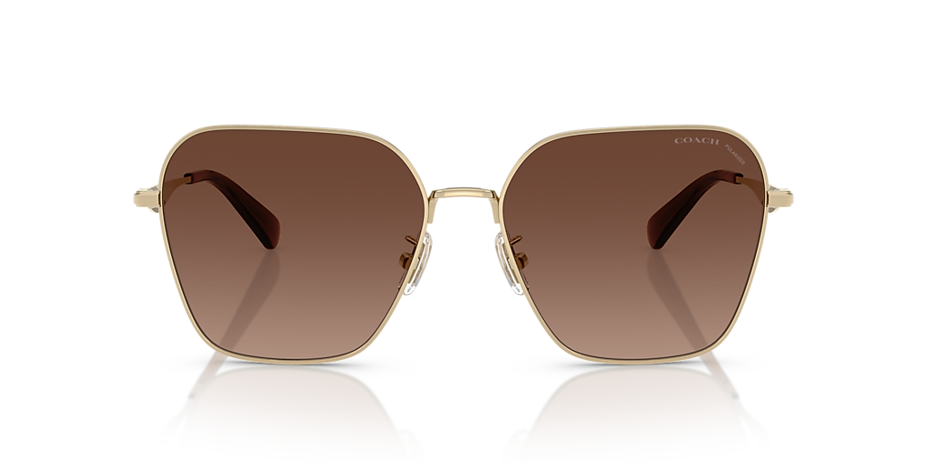 Coach CW189 XL (58 - 16) with Brown lenses and Gold frame